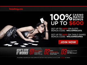 Bodog Casino website